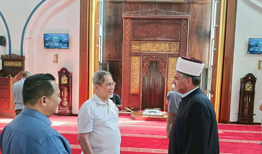 malezzijac 2