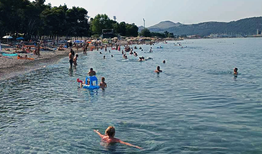 plaz zuikk