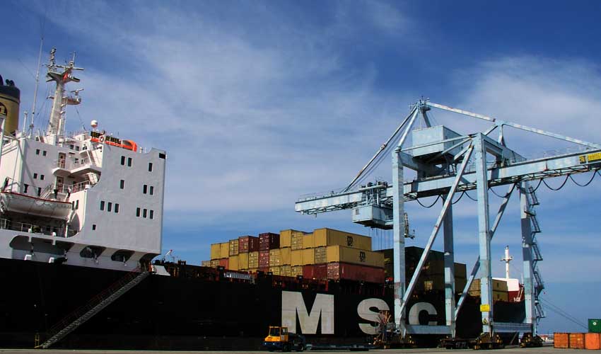 lb msc