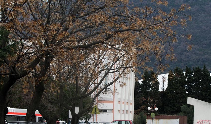 granne