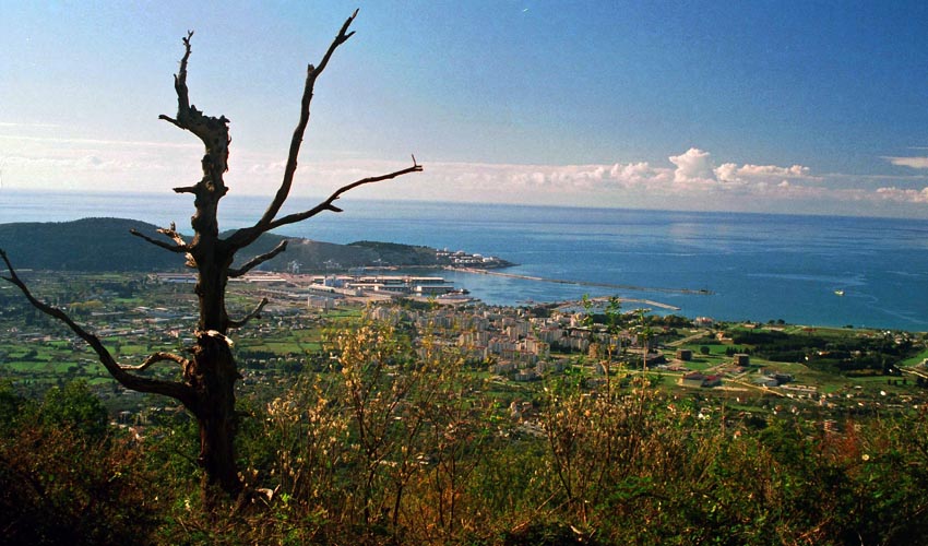 barsko polje