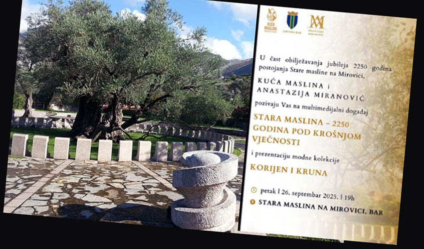 mas info
