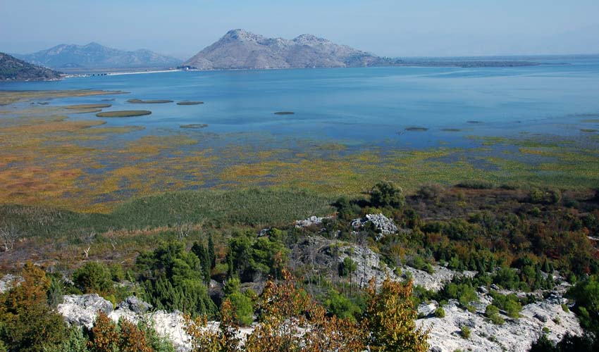 jezero np 2