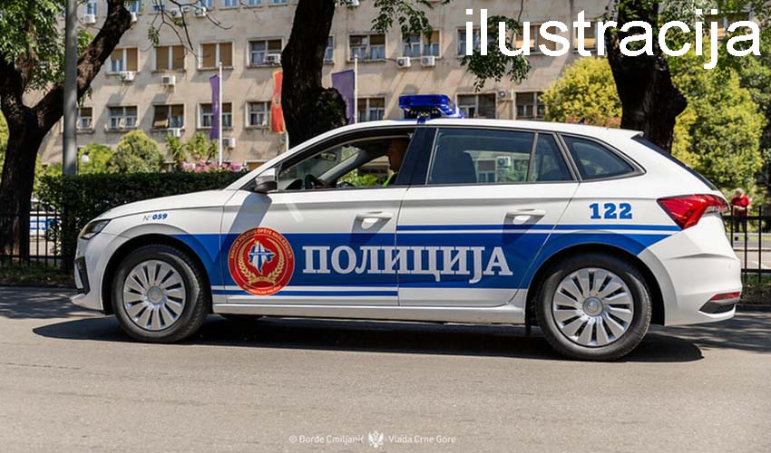 skoda pol