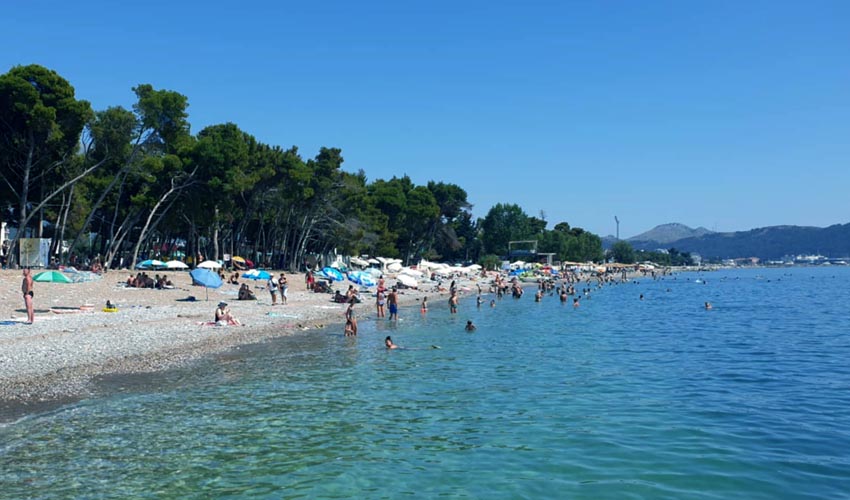 plaz zuko
