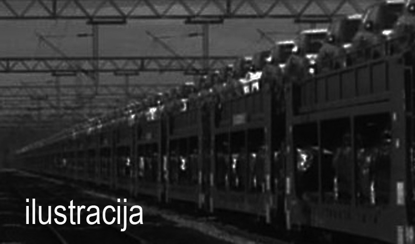 avtovozzz