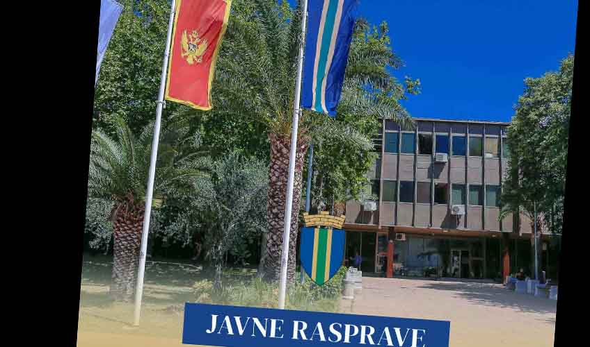 javnee raspravve