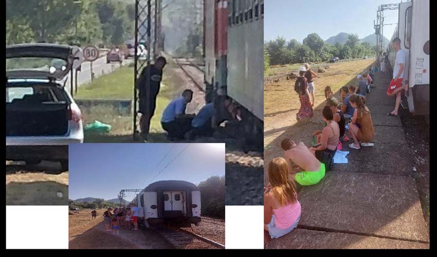 voz na djadi