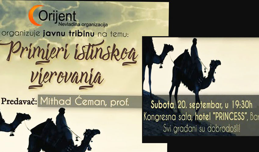 orjen preddd