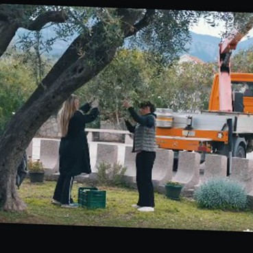 Najradosniji dan za tim Kuće maslina