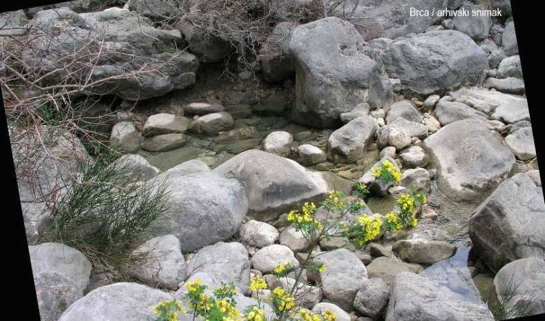  Voda sa svih izvorišta Bara zdravstveno je  bezbjedna za piće.