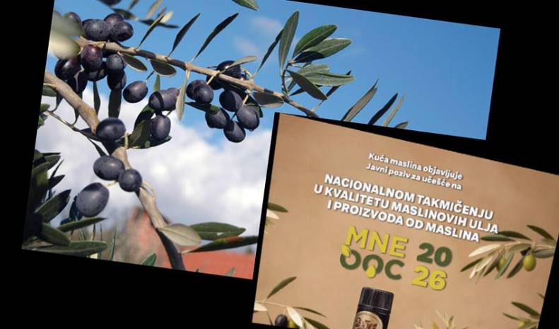 Kuća maslina:  MNEOOC 2026