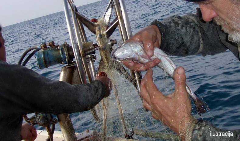  Svjetska banka odobrila 33 miliona eura za Crnu Goru