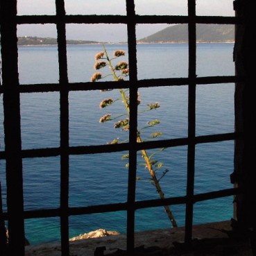 Roditelji ostavljeni bez izbora