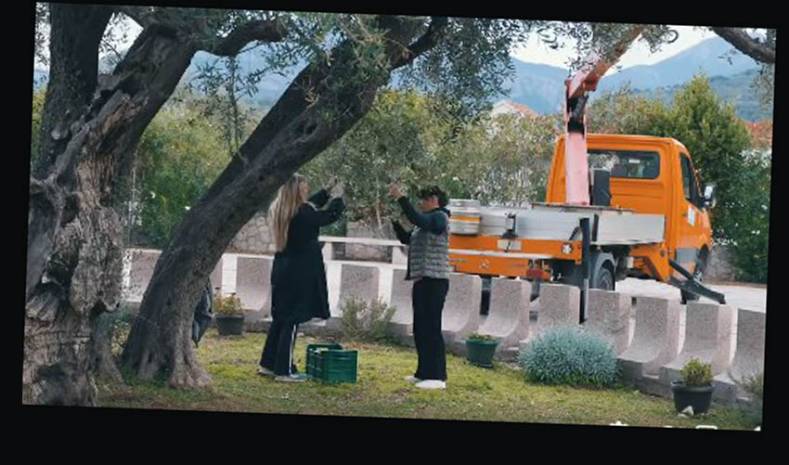 Najradosniji dan za tim Kuće maslina