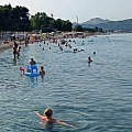 plaz zuikk