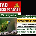 papagajjj