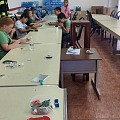 rib skul