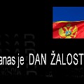 dan zalost