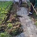 korovv 1