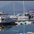 marinicca
