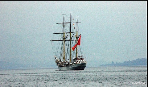 jadran barjak