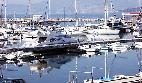 marinss