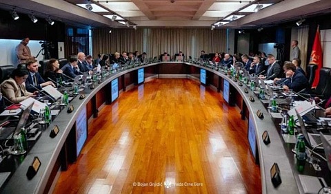 vlada new