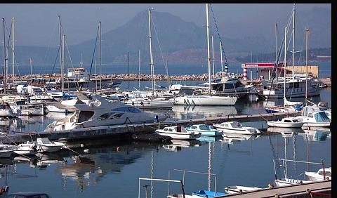 marinicca