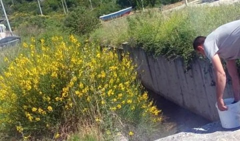 kanal trtmasn