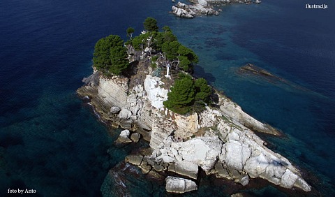 otok katicc