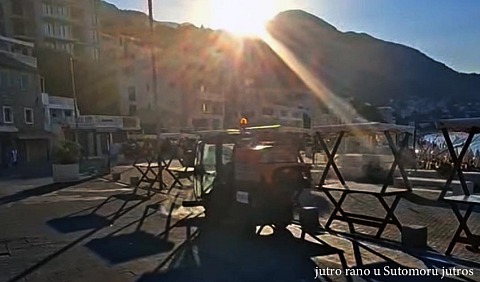 jutro sut