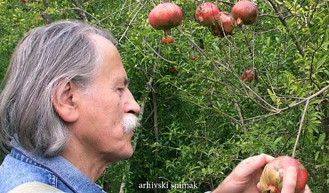 iliuja soskic