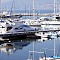 marinss